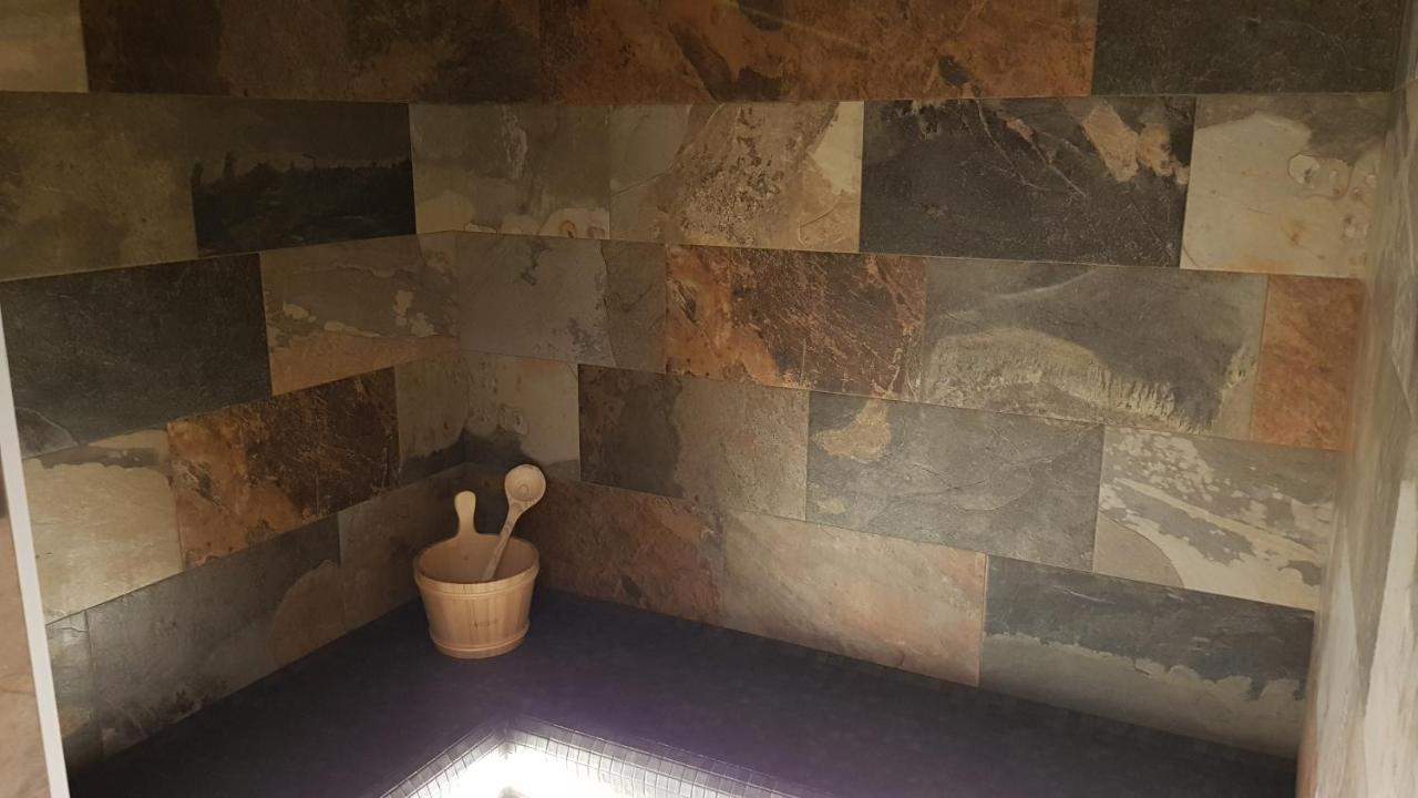Chalet L'ardoisiere Villard-Reculas